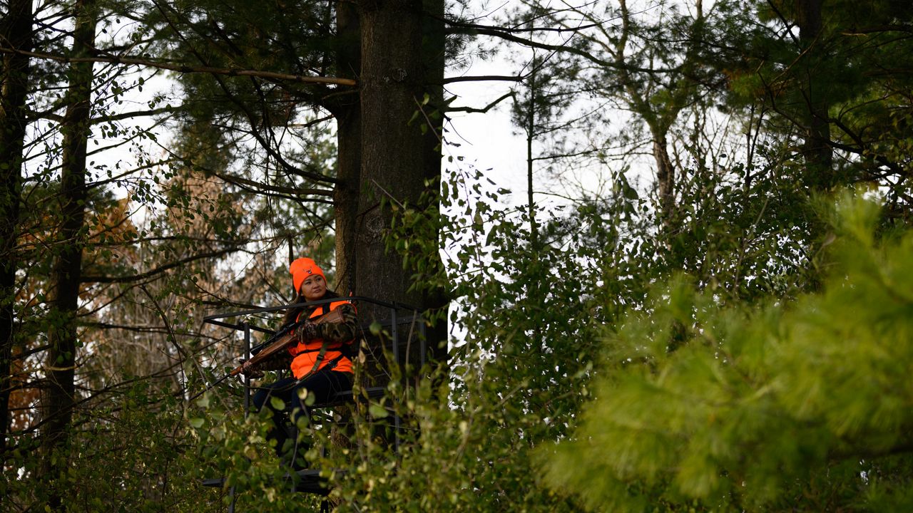 Ash trees a concern ahead of Wisconsin deer hunting season