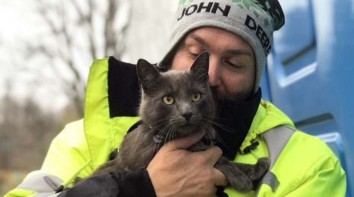 Cat Lost in Ohio Found Thanks to Microchip and 2 Rochester Women