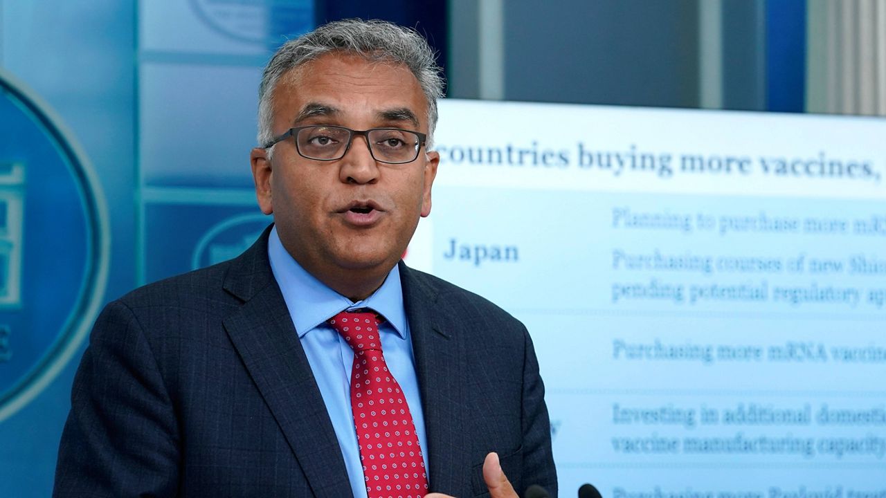 White House COVID-19 Response Coordinator Dr. Ashish Jha speaks during a White House news briefing on April 26. (AP Photo/Susan Walsh)