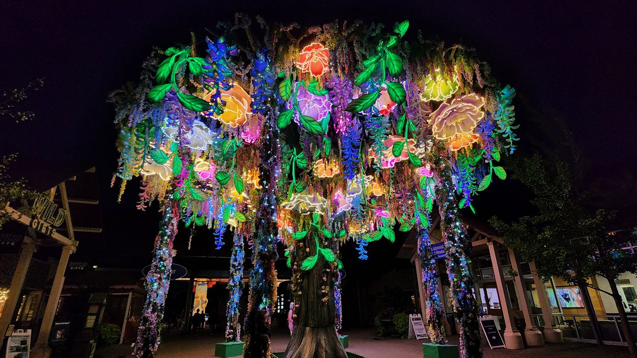 One of the displays at the entrance of the Cleveland Metroparks Zoo during the Asian Lantern Festival. (Spectrum News 1/Lydia Taylor)