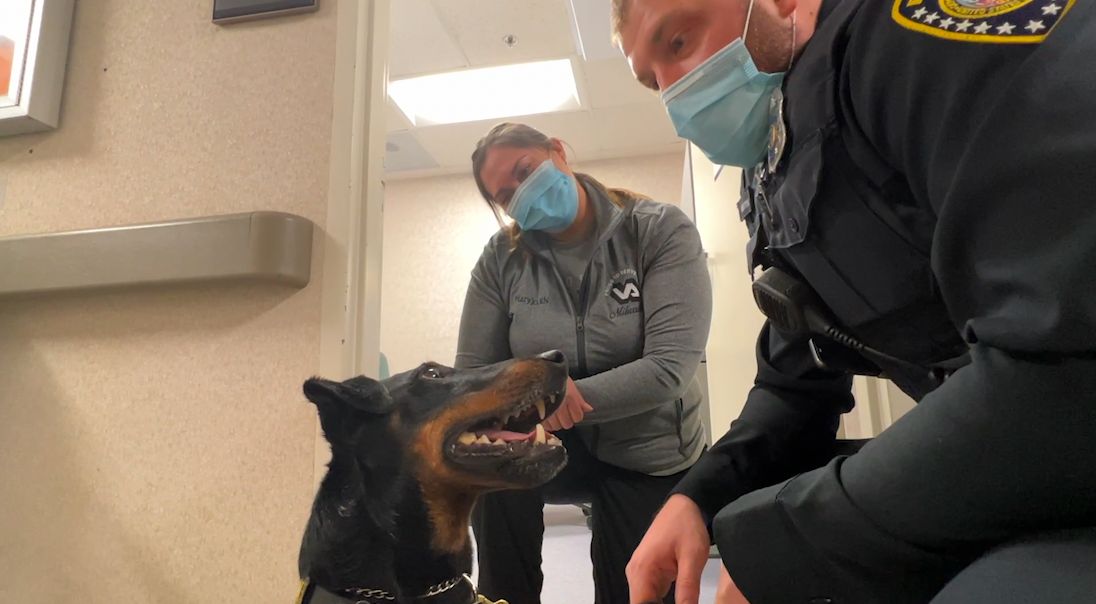 VA police K9 may be small but his impact is larger than life