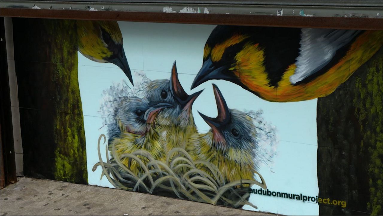 Audubon bird murals