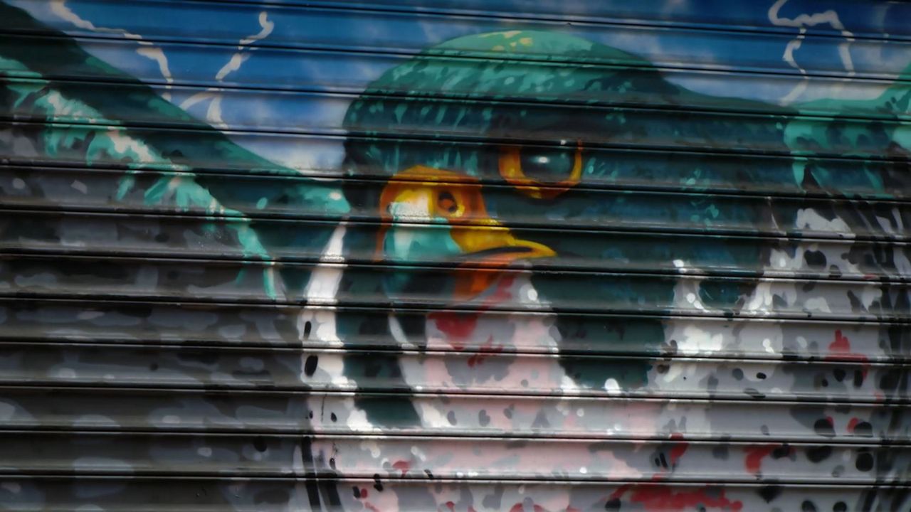 Bird murals pop up in Washington Heights