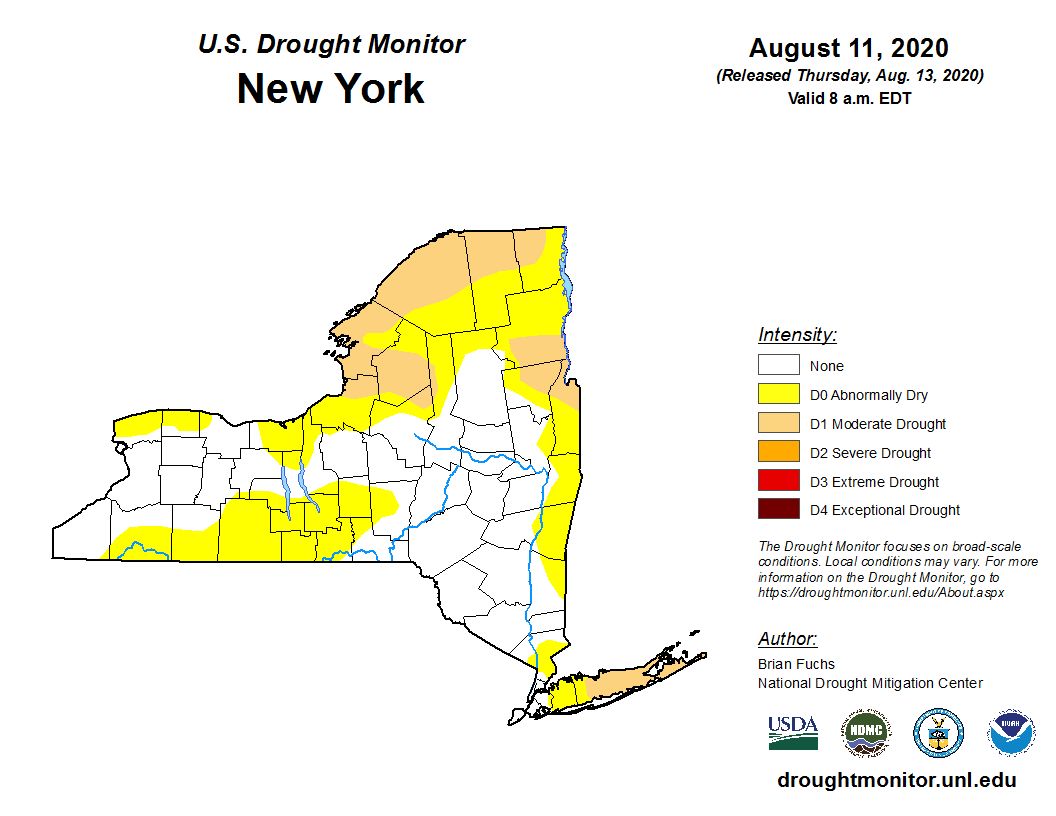 Isaias Was A Drought Buster For Eastern New York