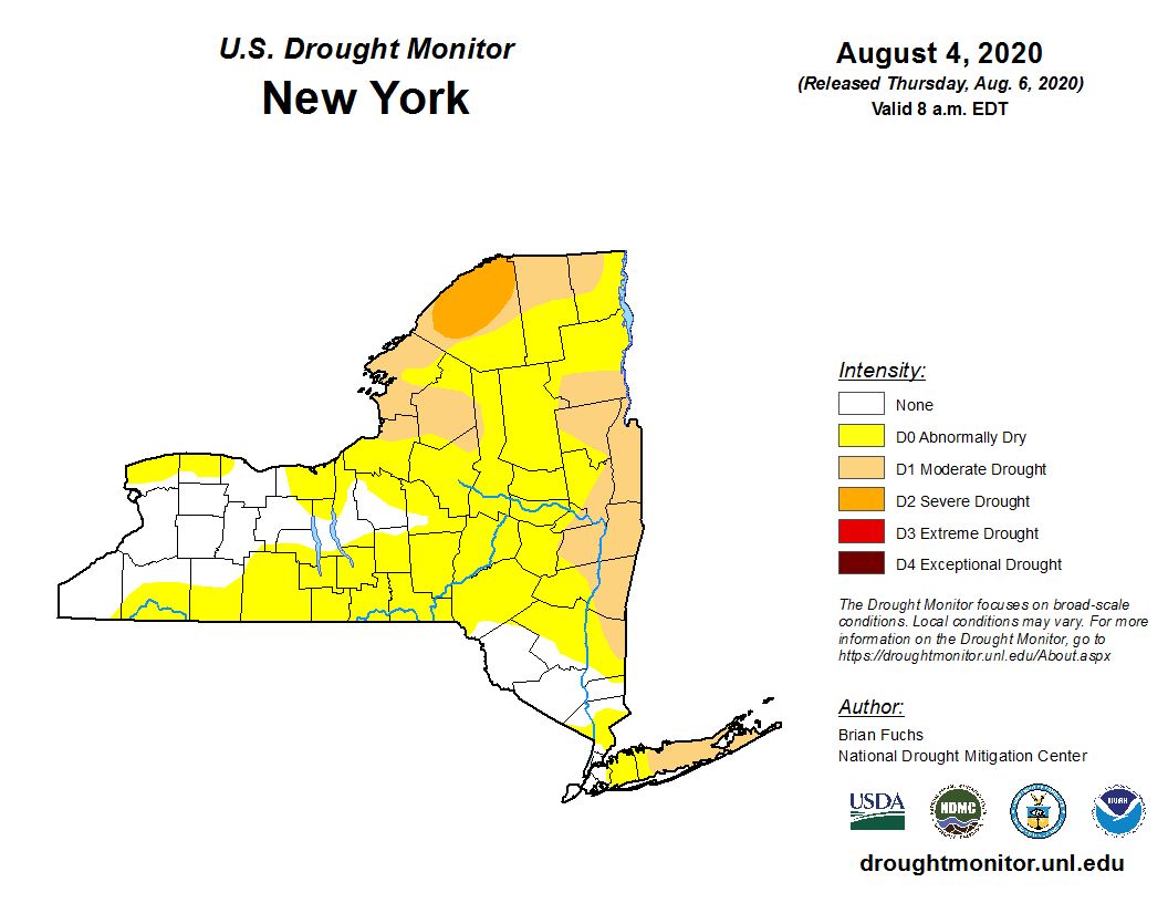 Isaias Was A Drought Buster For Eastern New York