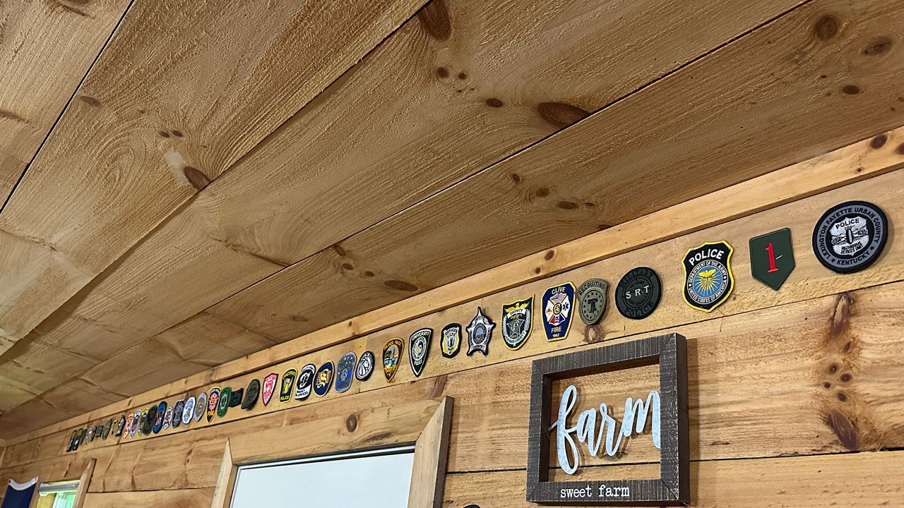 Camp Hero helps veterans, first responders with therapy