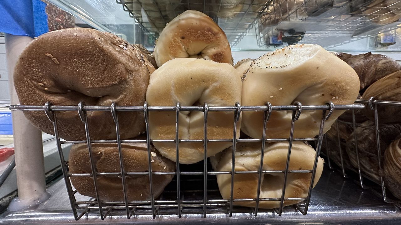 Visiting Bay Ridge's Bagel Schmagel