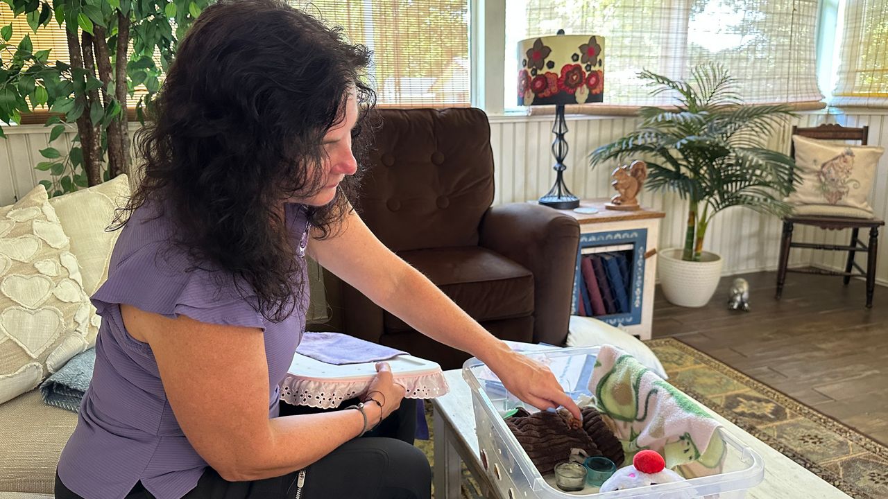 Rabid bat found in Lexington