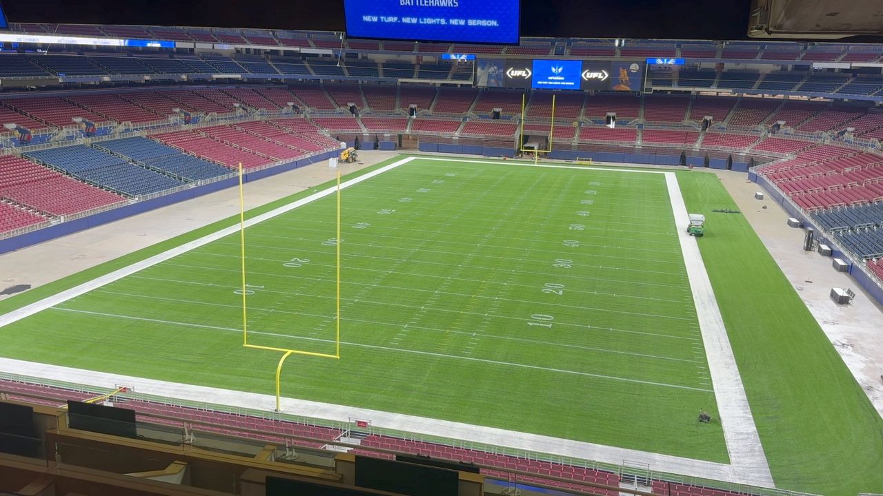 New turf at the Dome