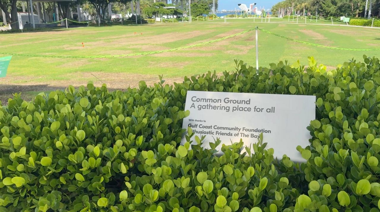 Crews transforming former parking lot into a waterfront park in Sarasota