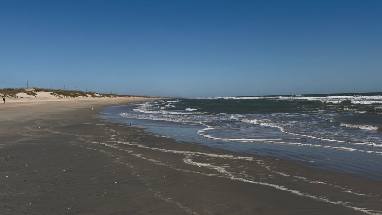 Outer Banks beach project stopped after sea turtle deaths