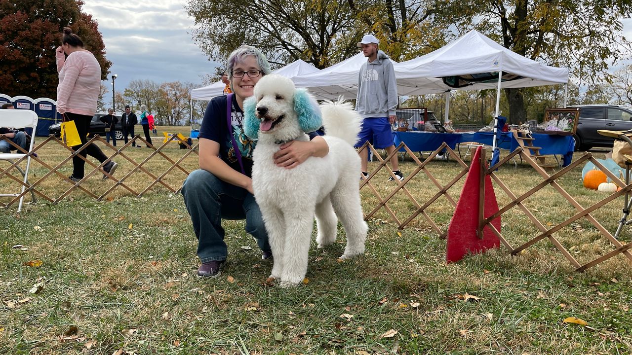 Central Kentucky pups gather once again for Canine Olympics