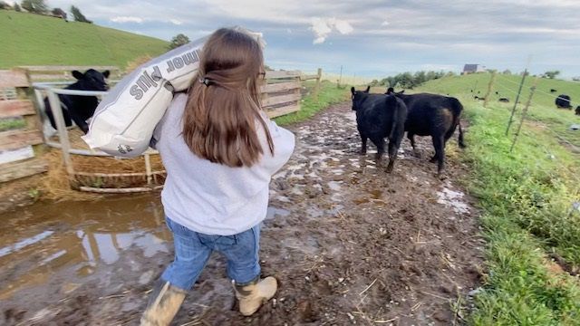 6th generation beef farm finds ways to grow business during covid