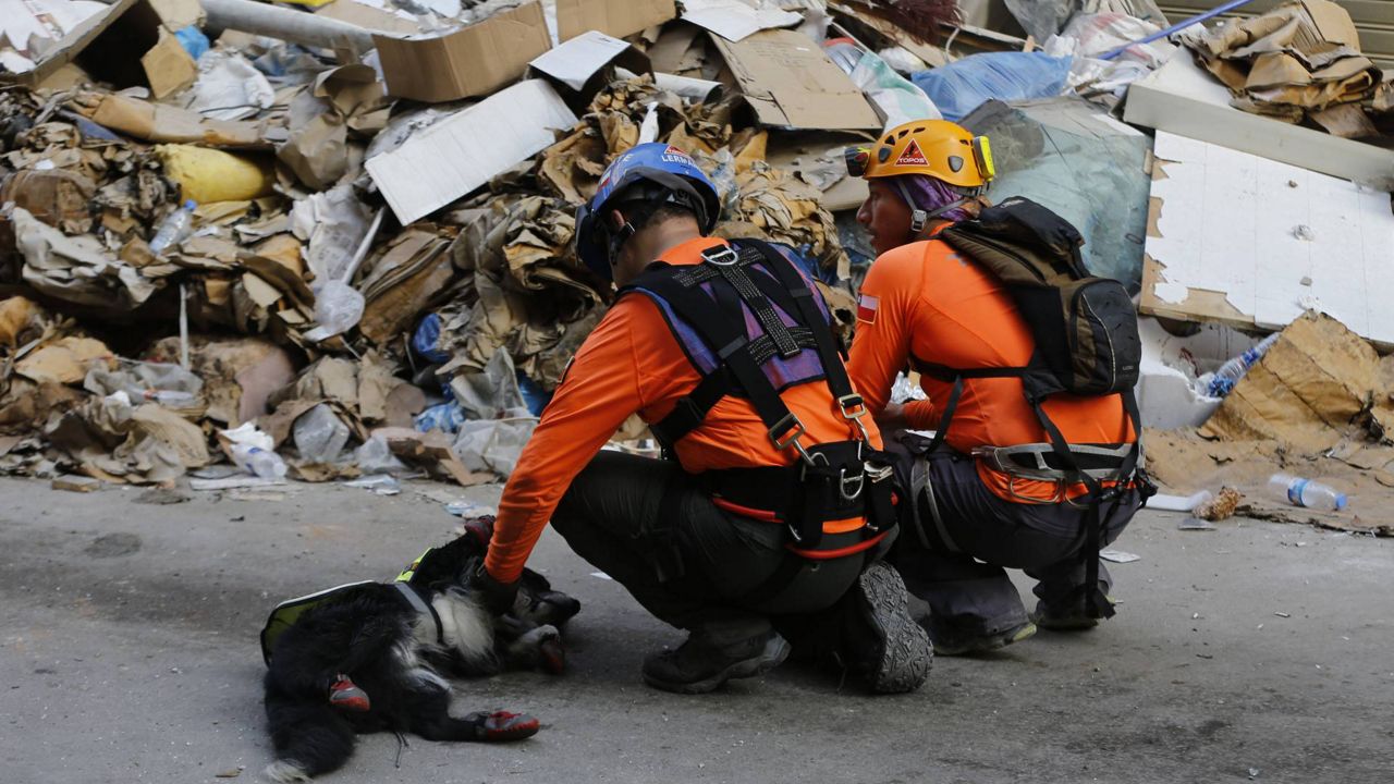 Rescue workers inspect the rubble at Beirut's seaport (via Associated Press)