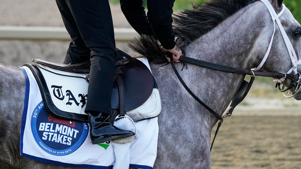 Tapit Trice trains ahead of the Belmont Stakes horse race, Friday, June 9, 2023, at Belmont Park in Elmont, N.Y. (AP Photo/John Minchillo)