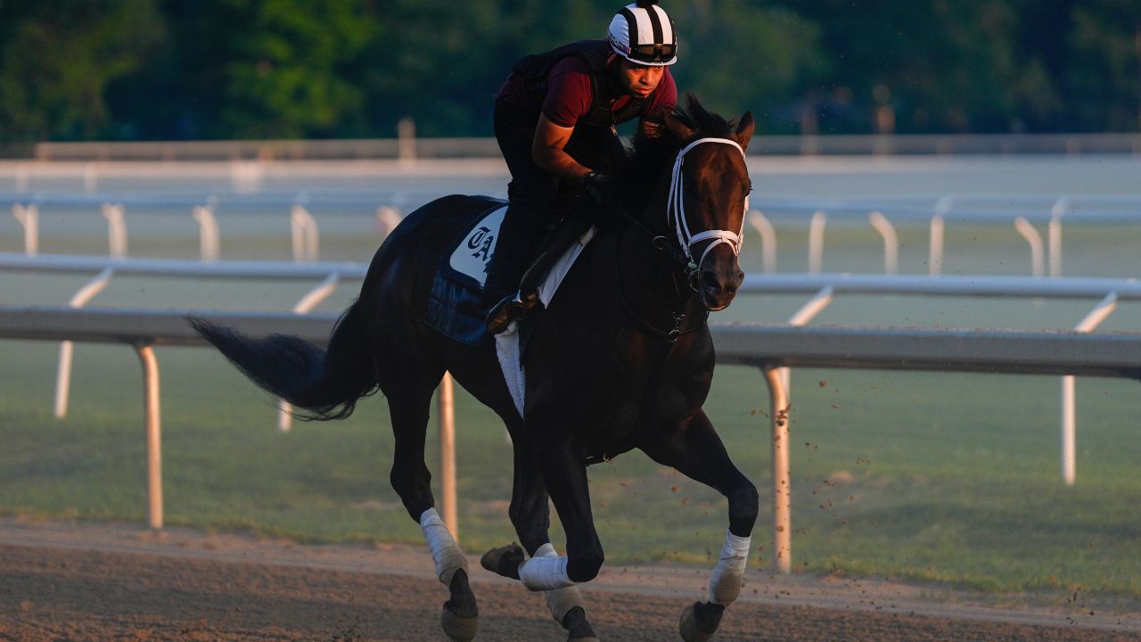 Excitement ramps up for Belmont Stakes around upstate