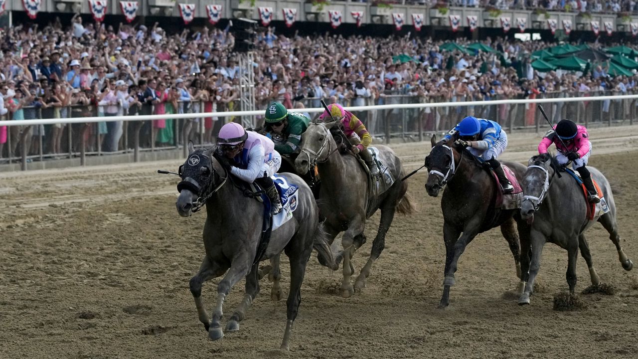 Arcangelo, with jockey Javier Castellano, crosses the finish line to win the 155th running of the Belmont Stakes horse race, Saturday, June 10, 2023, at Belmont Park in Elmont, N.Y. 