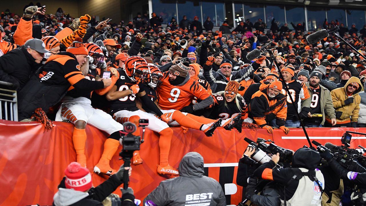 Bengals fans cheer on their team during at game at Paul Brown Stadium in Cincinnati. (Associated Press)