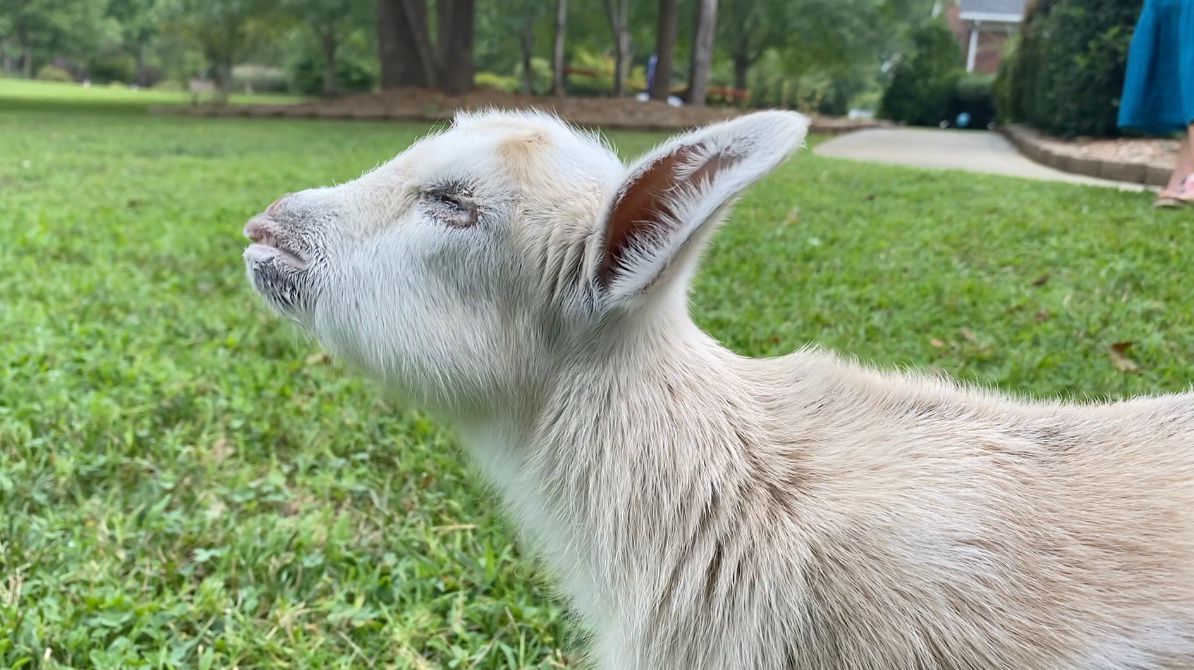 Bernadette was born without eyes. 