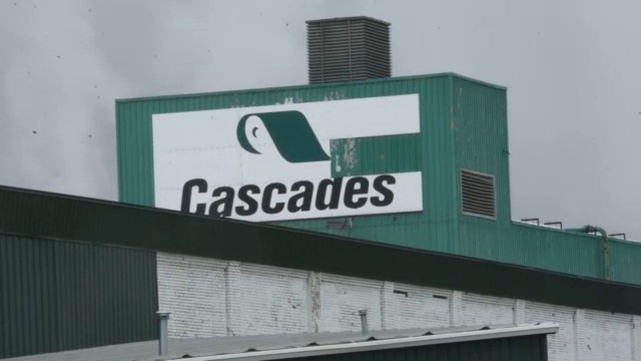 Cascades plant