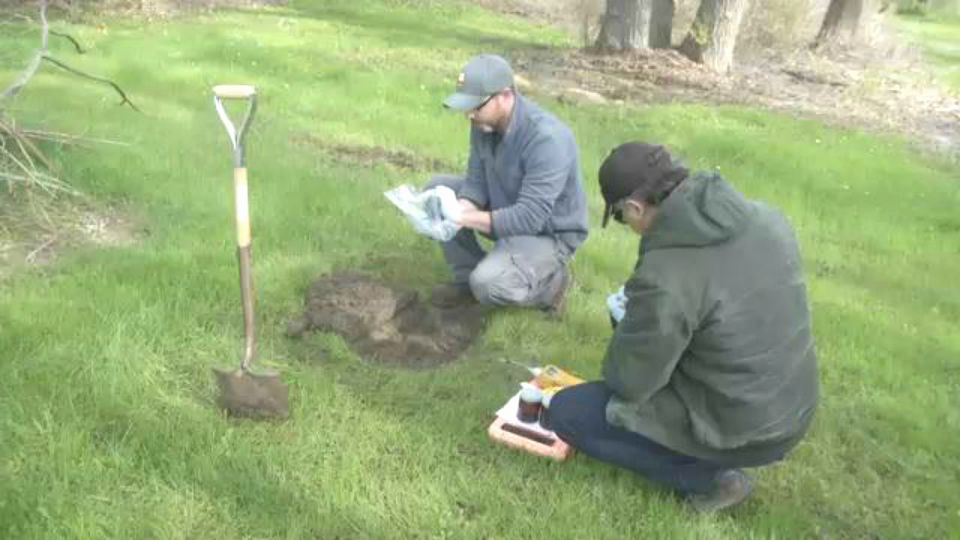 Two men fill a hole with soil. (Spectrum News file footage)