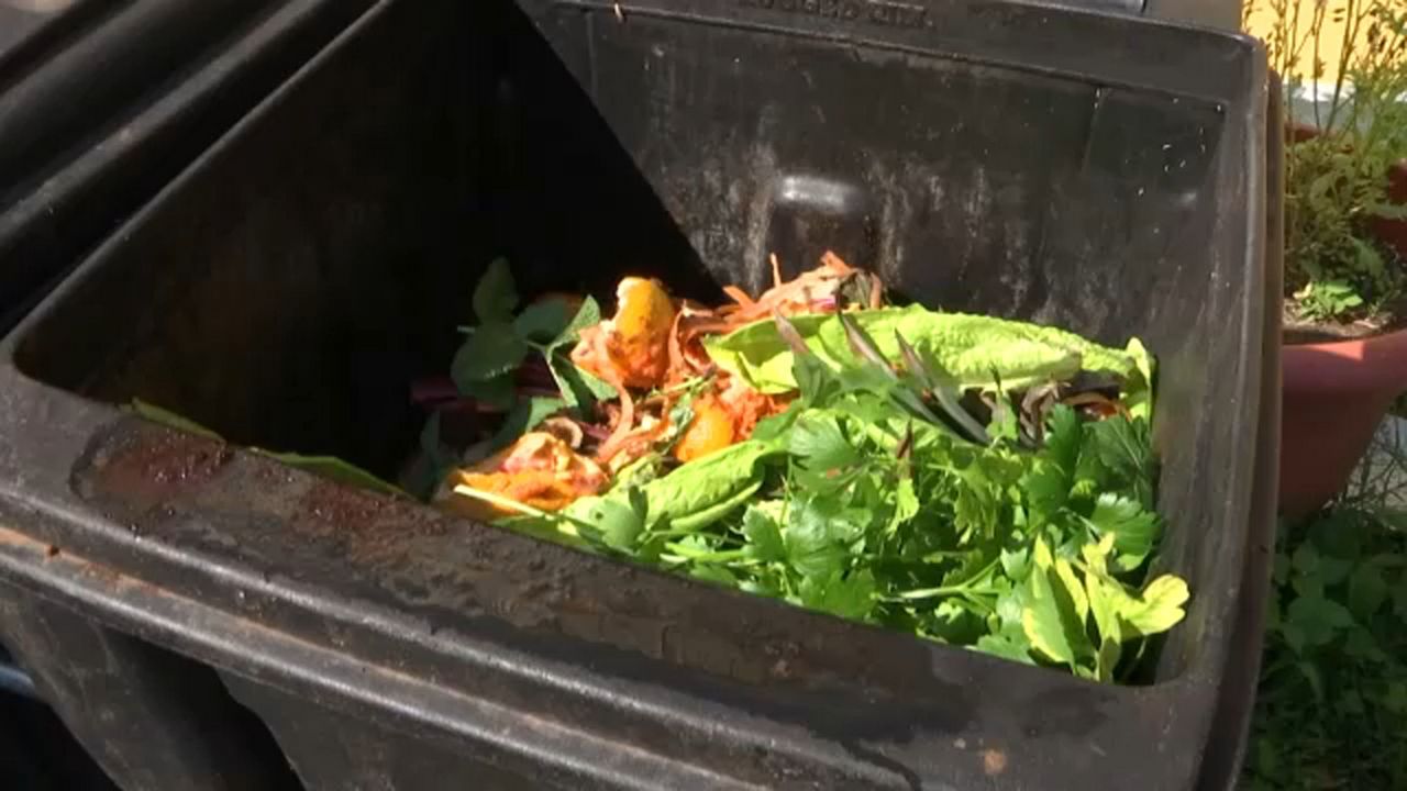 Turning Kitchen Scraps Into Rich Compost