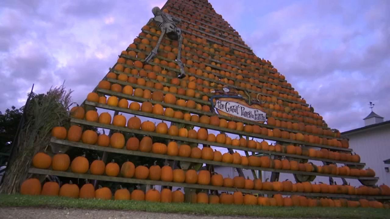 Get in the Fall Spirit at the Great Pumpkin Farm