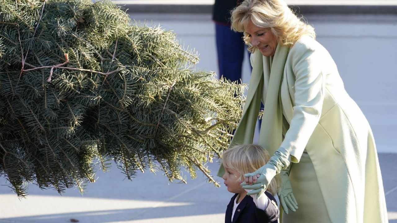 First lady Jill Biden stands with her grandson Beau Biden as she receives the 2022 White House Christmas Tree at the White House, Monday, Nov. 21, 2022, in Washington.The concolor fir tree for the Blue Room of the White House, is 18 and one half feet tall and presented by the Shealer Family of Evergreen Acres Christmas Tree Farm in Auburn, Pa. (AP Photo/Andrew Harnik)