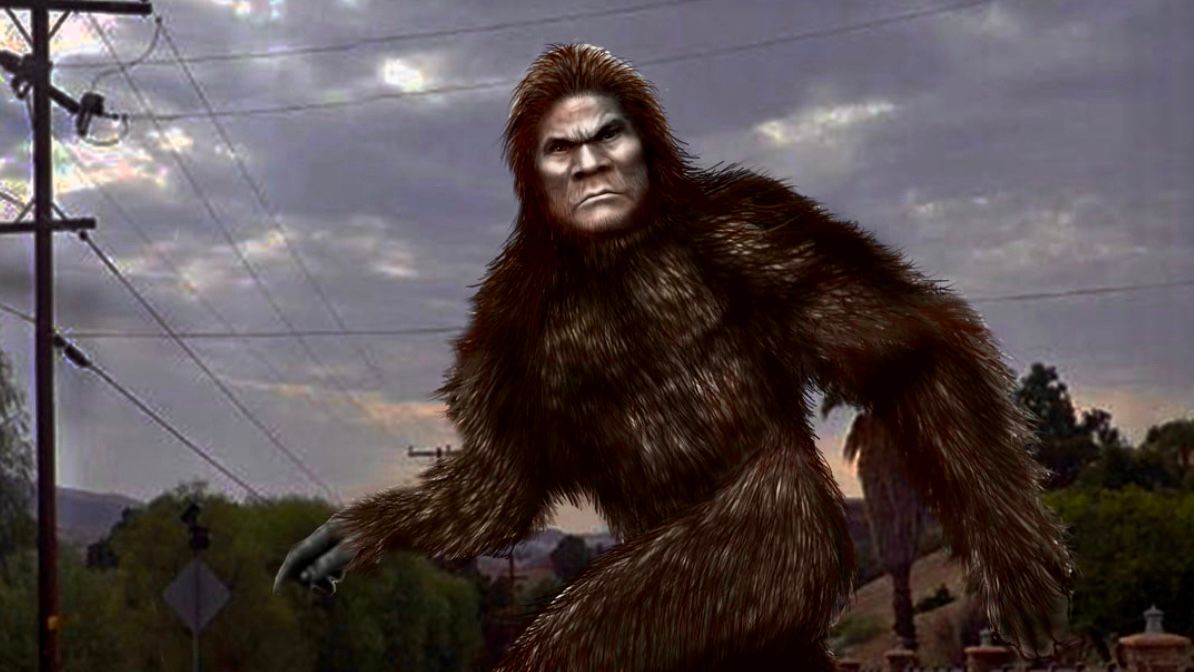 recent bigfoot sightings texas