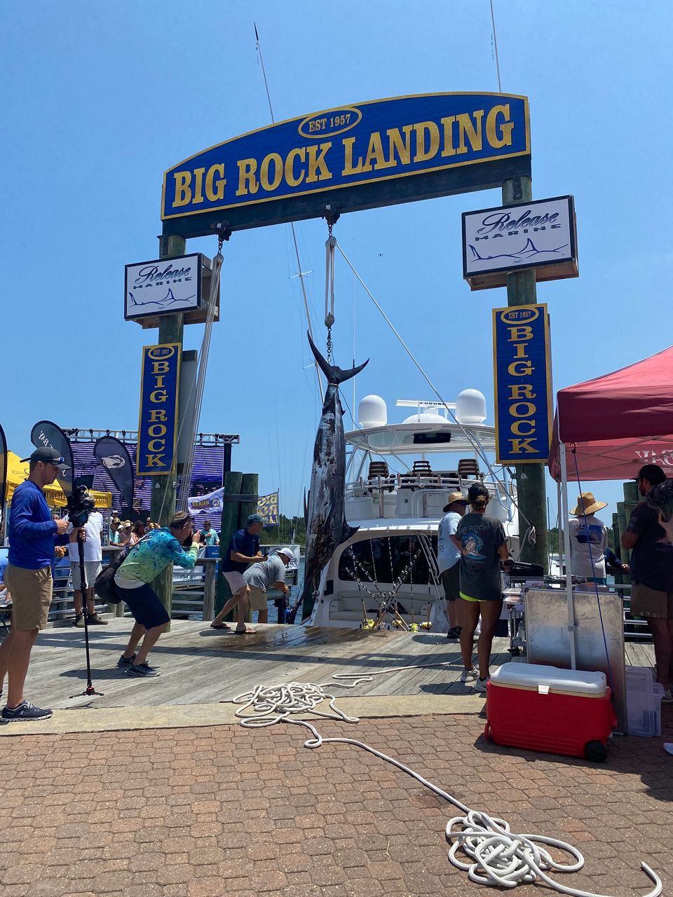 Eating Big Rock Fish