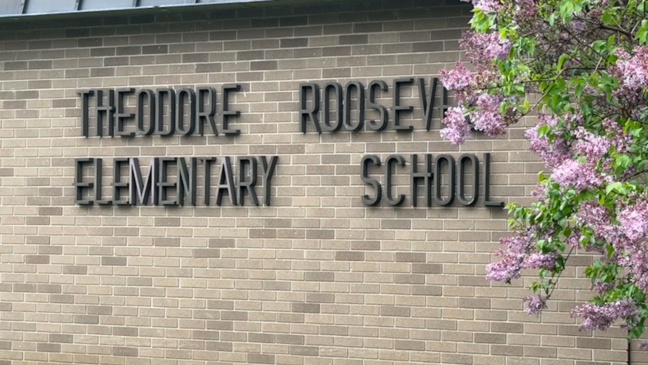 theodore roosevelt school