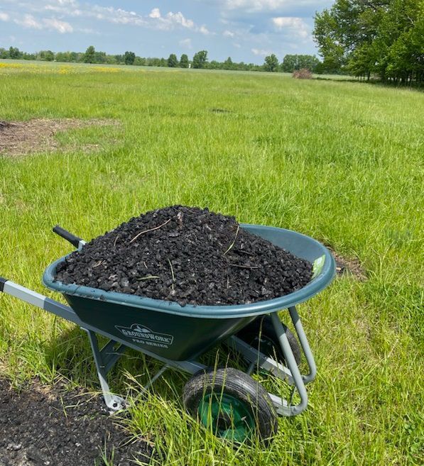 Biochar is seen as a way to both increase tree and plant growth while also improving the region's resilience to climate change. (Photo courtesy of Sam Dunlap)