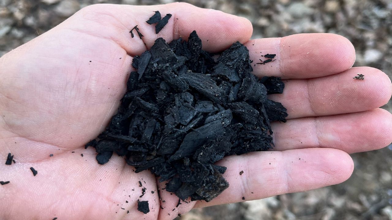 Cincinnati Parks and Great Parks of Hamilton County are investing in a plan to turn wood debris into a carbon-neutral material called biochar. (Photo courtesy of Sam Dunlap)