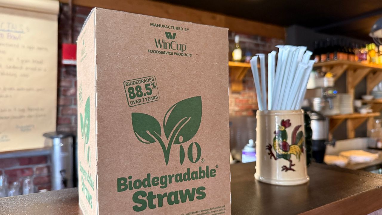 Florida bill takes aim at paper straws