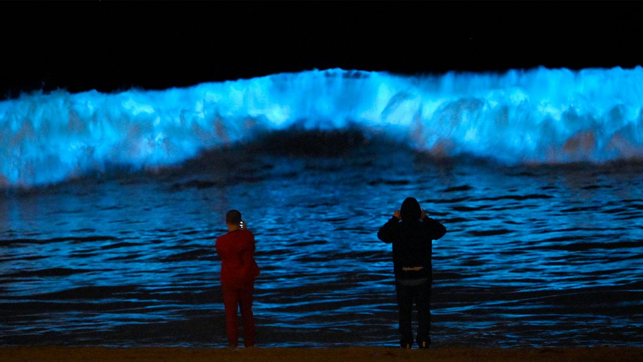 Sea sparkles; a bioluminescent algae turning the surf light blue