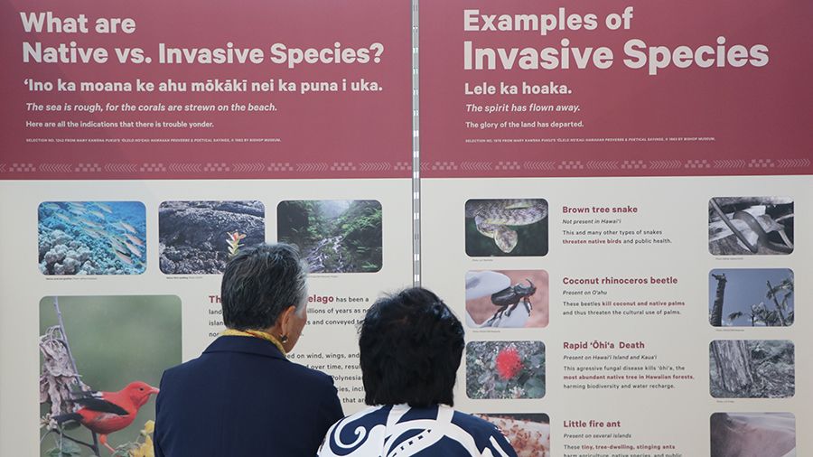 New exhibit at Daniel K. Inouye International Airport