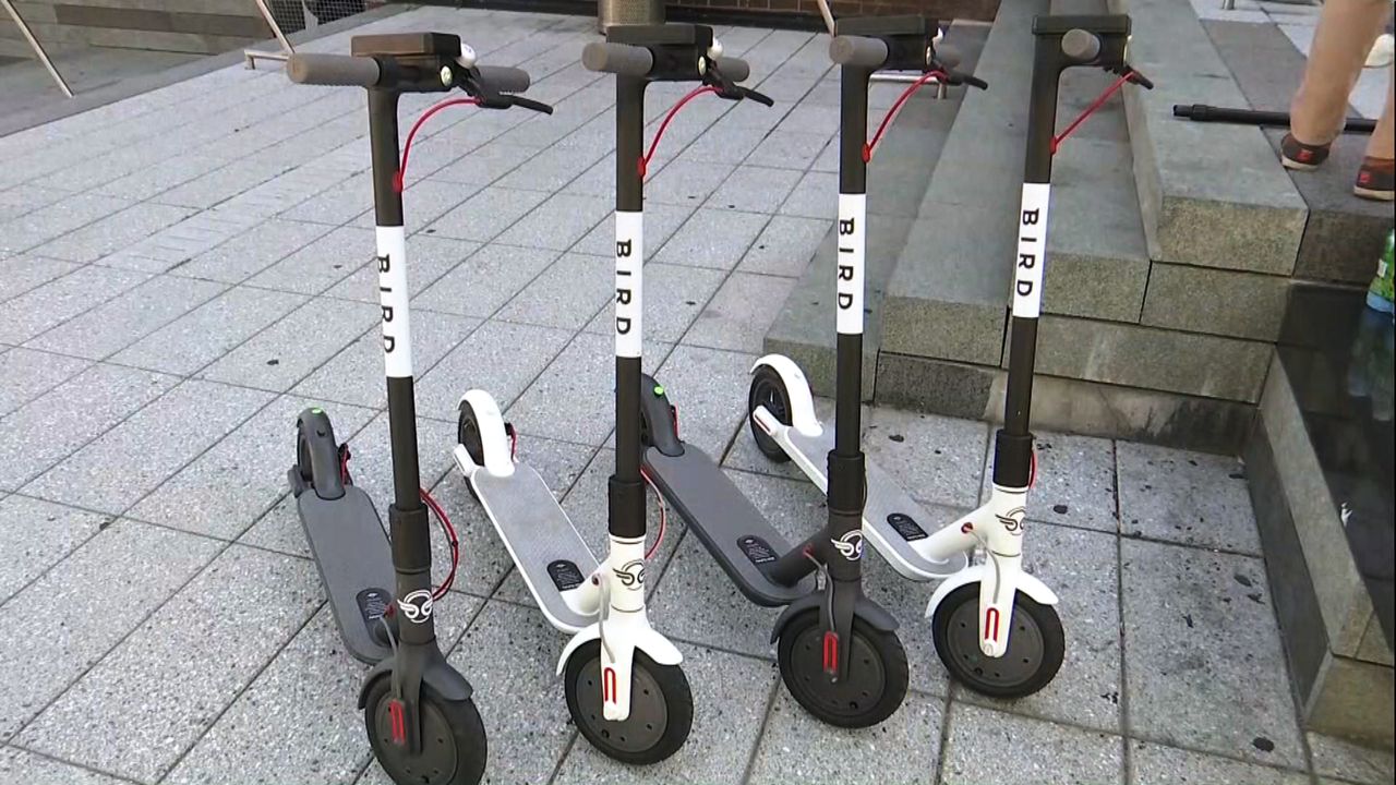 FILE photo of Bird dockless electric scooters. (Spectrum News)