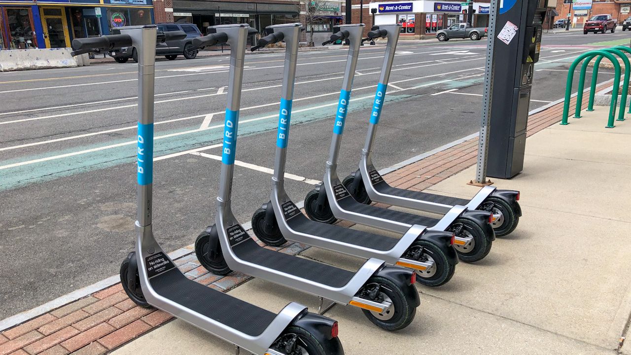 Bird scooters parked curbside in Pittsfield.