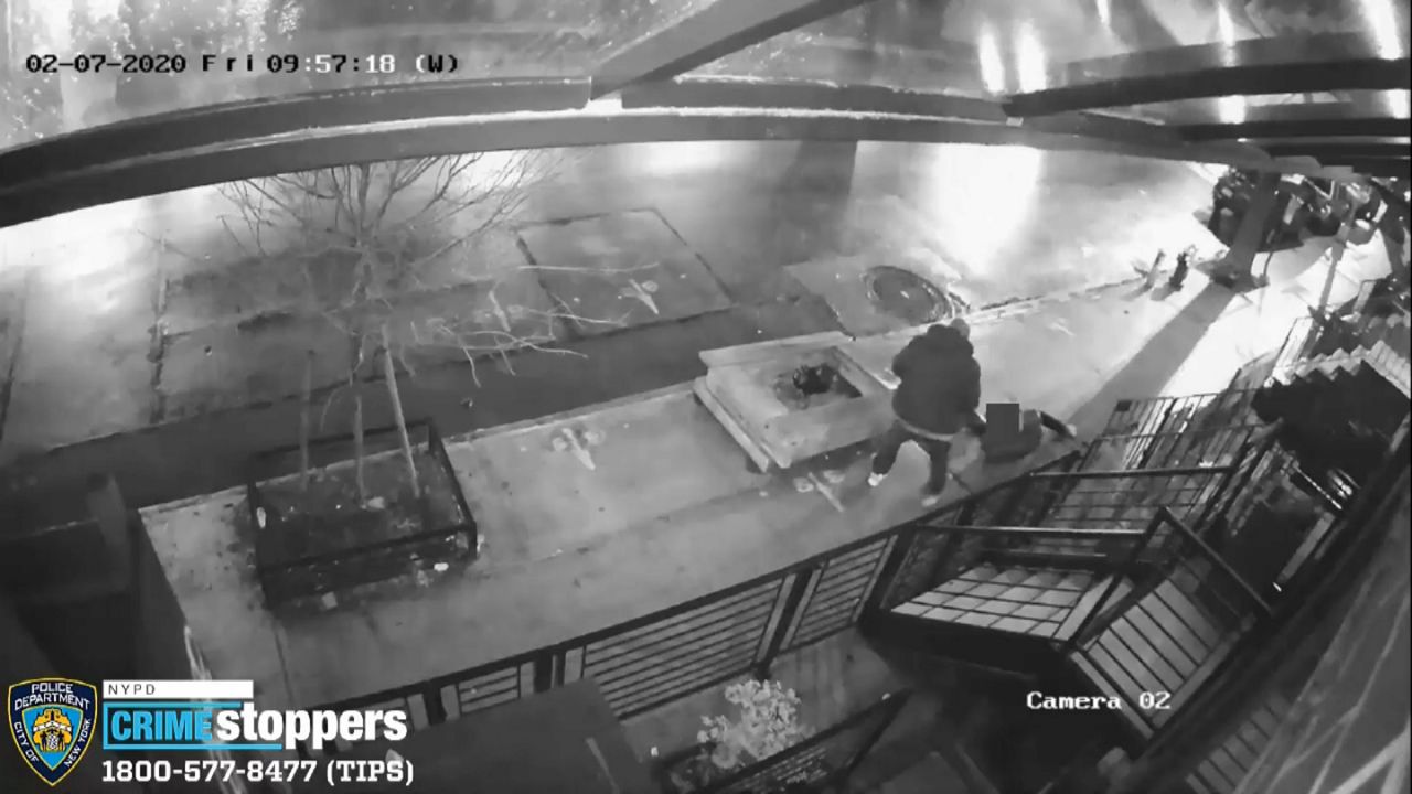 Police Searching for Man Who Robbed Woman at Brooklyn Bus Stop