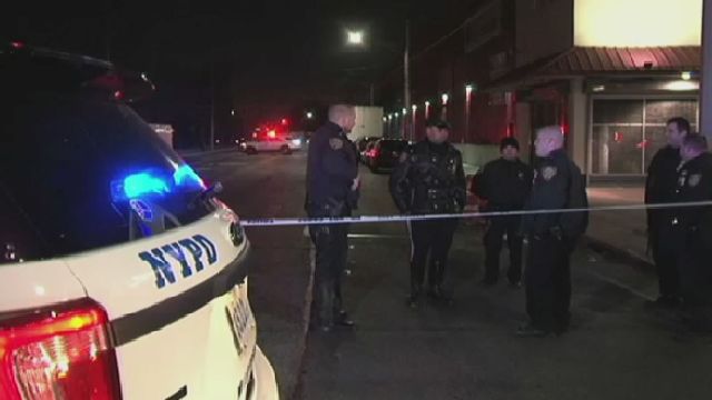 Police Seek Driver in Deadly Brooklyn Hit-and-Run