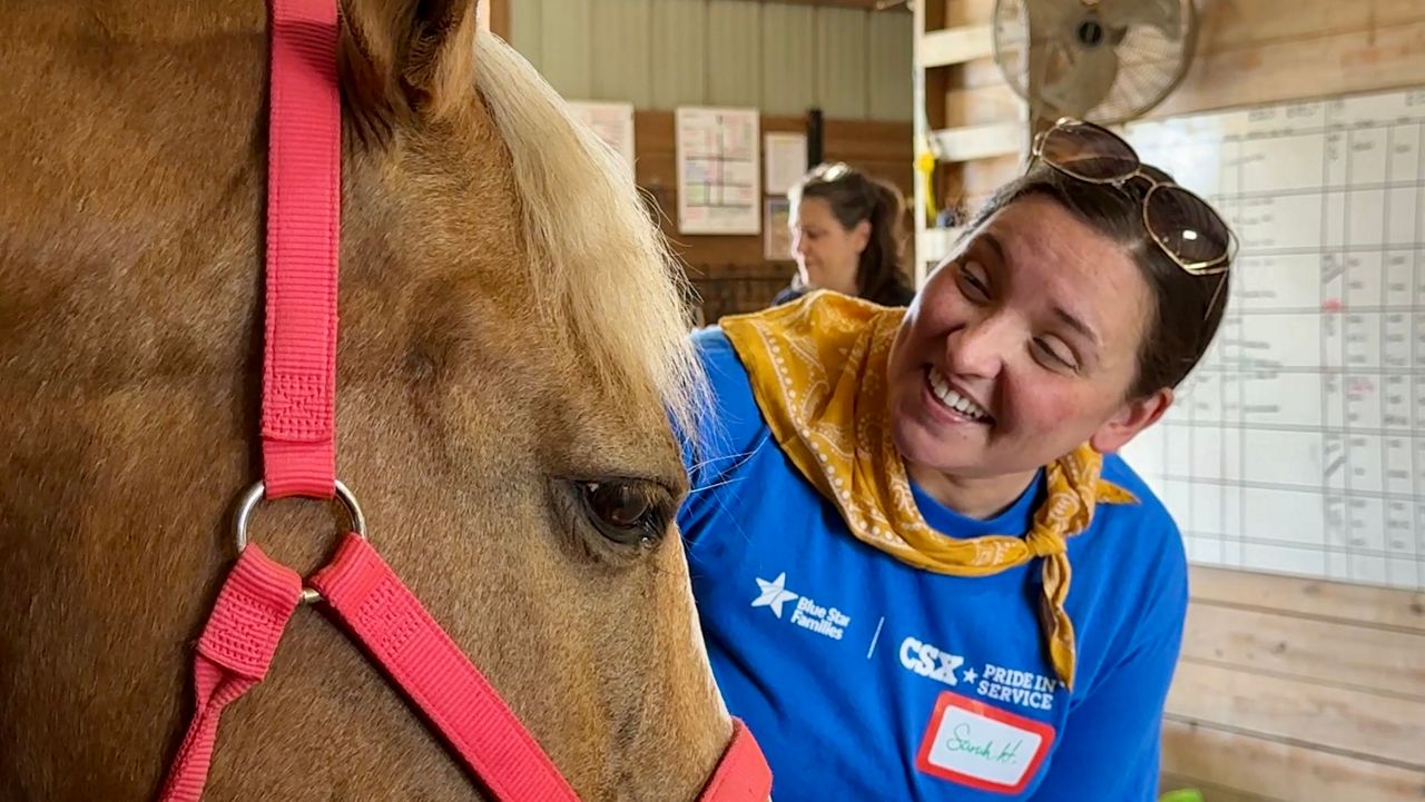 blue star therapy horses