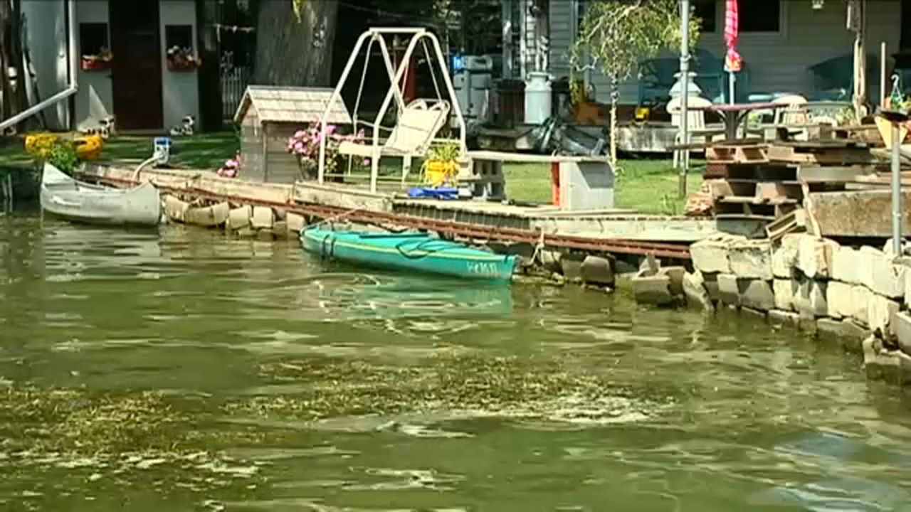 First bloom of bluegreen algae found in Conesus Lake
