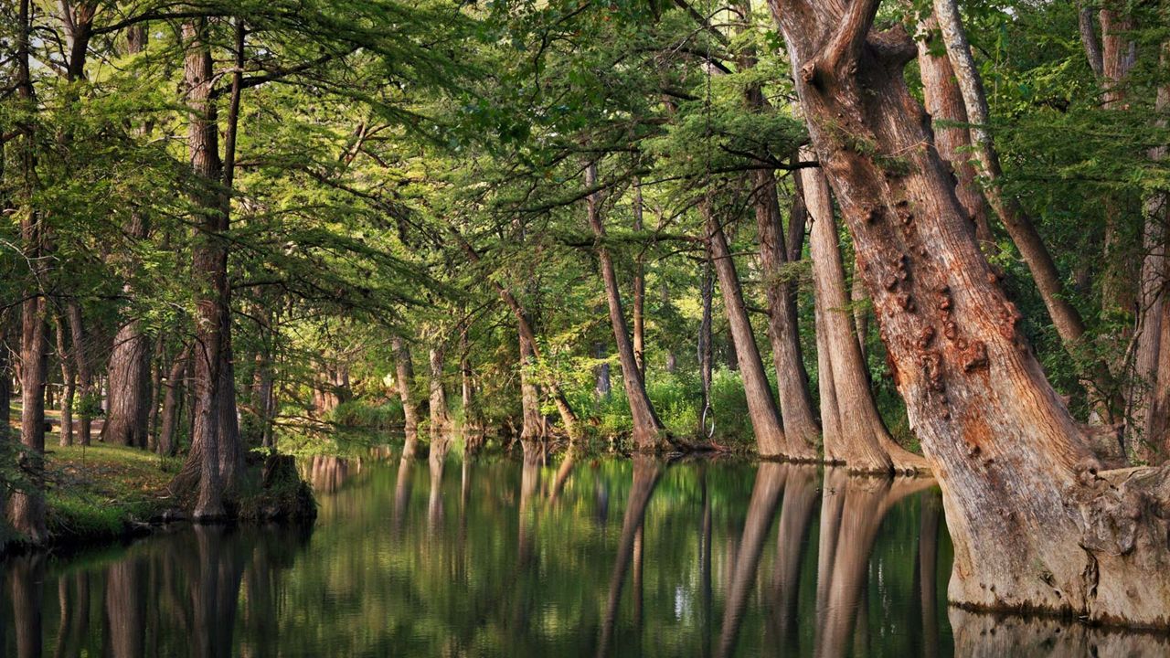 Blue Hole in Wimberley, Texas. (Blue Hole Regional Park Facebook)