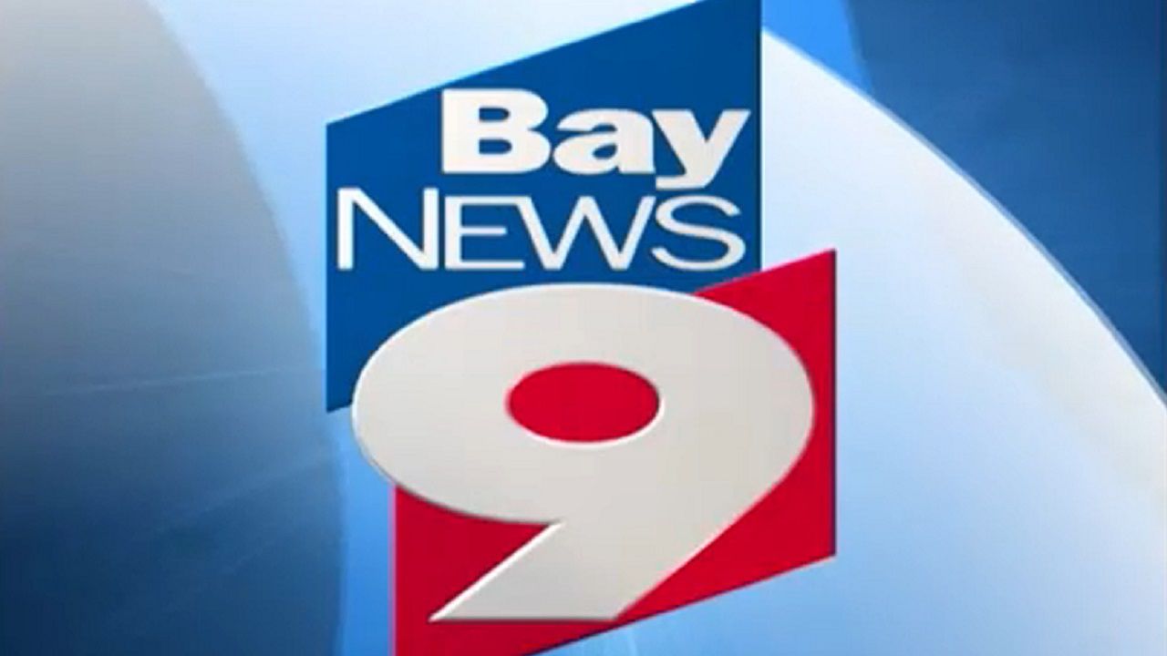 Baynews9 lotto new arrivals