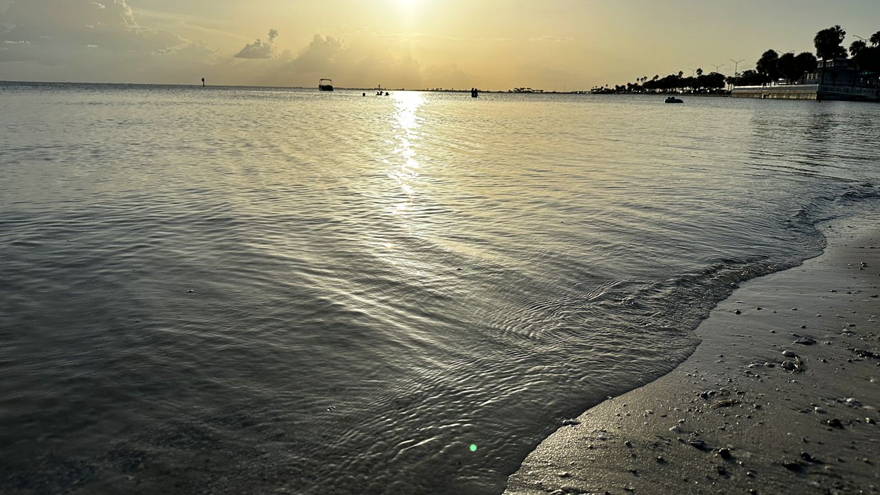 Flesh eating bacteria kills 5 in Tampa Bay this year