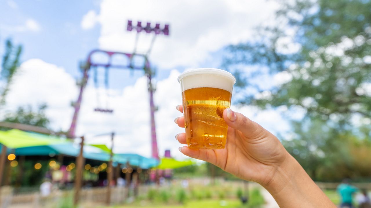 Busch Gardens Tampa Bay is offering free beer this summer to visitors who are 21 years old and older. (Photo: Busch Gardens)