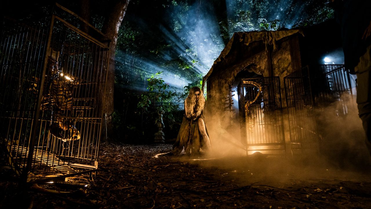 Witch of the Woods is one of the haunted houses that will be featured at Busch Gardens Tampa Bay's Howl-O-Scream. (Busch Gardens)