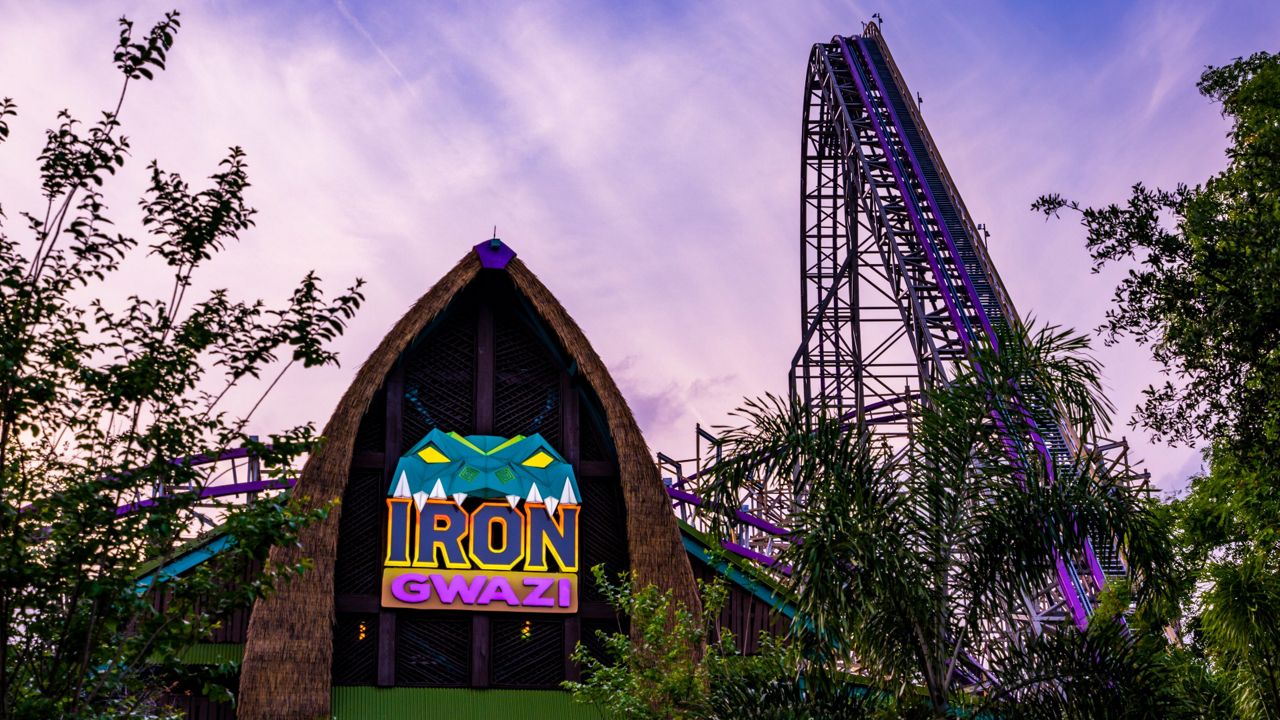 The new Iron Gwazi coaster is scheduled to open March 2022 at Busch Gardens Tampa Bay. (Busch Gardens Tampa Bay)