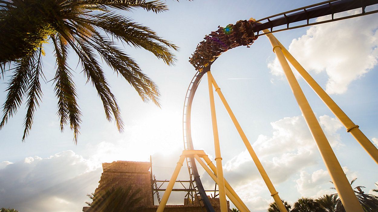 Montu, one of Busch Gardens Tampa Bay's rides, launches riders through the air. (Spectrum News)