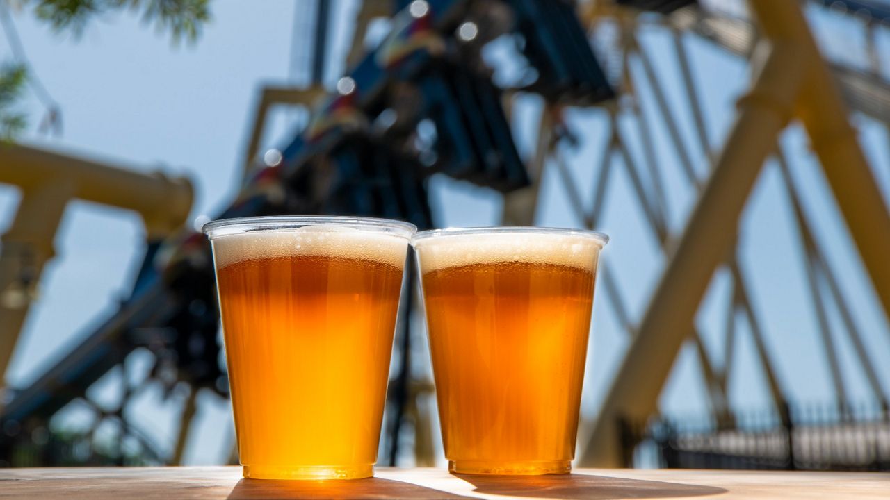 Free beer is back at Busch Gardens Tampa Bay. The park is celebrating the Tampa Bay Lightning Bolts Stanley Cup win. (Busch Gardens)